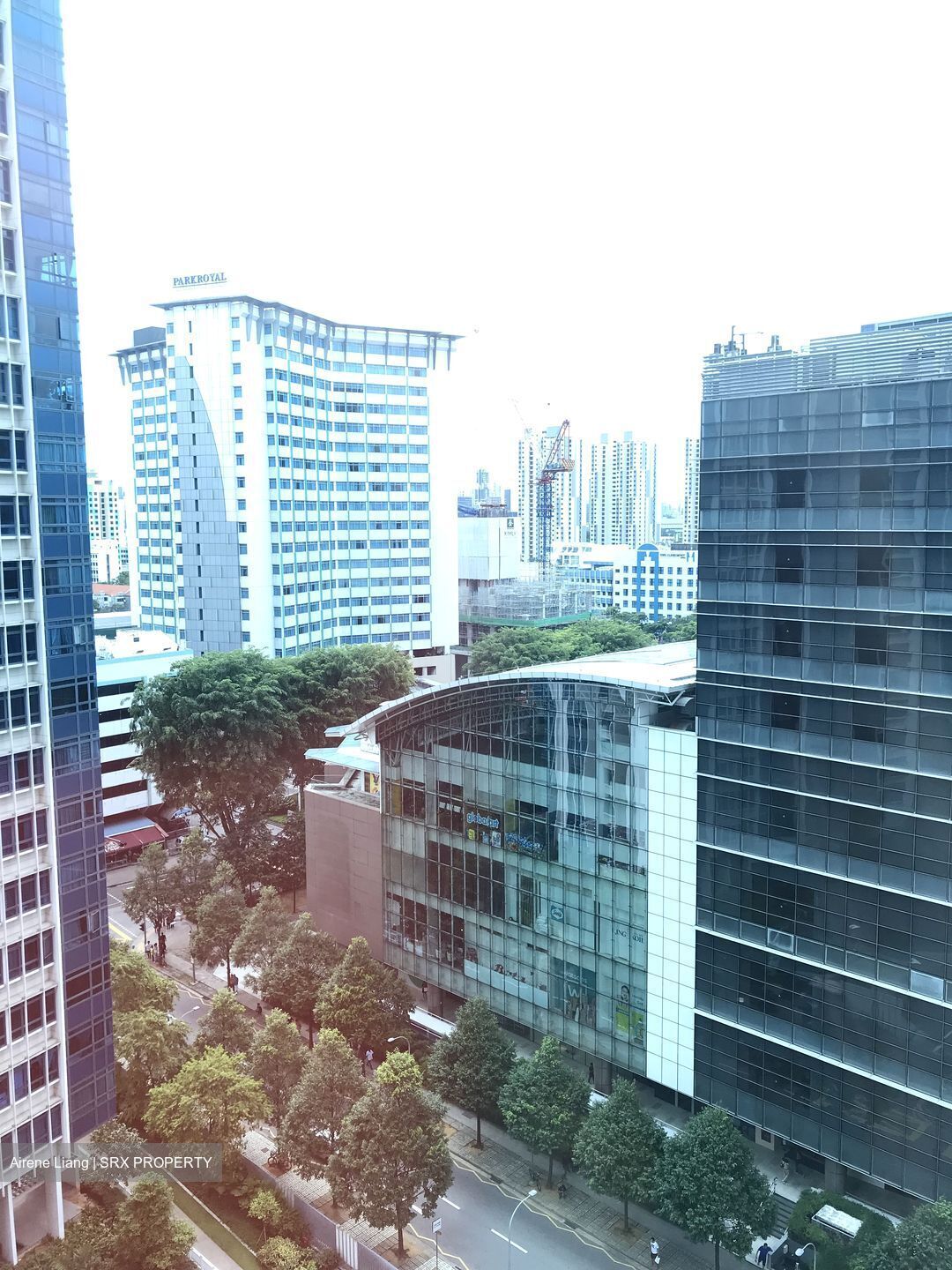 City Square Residences (D8), Condominium #553252751